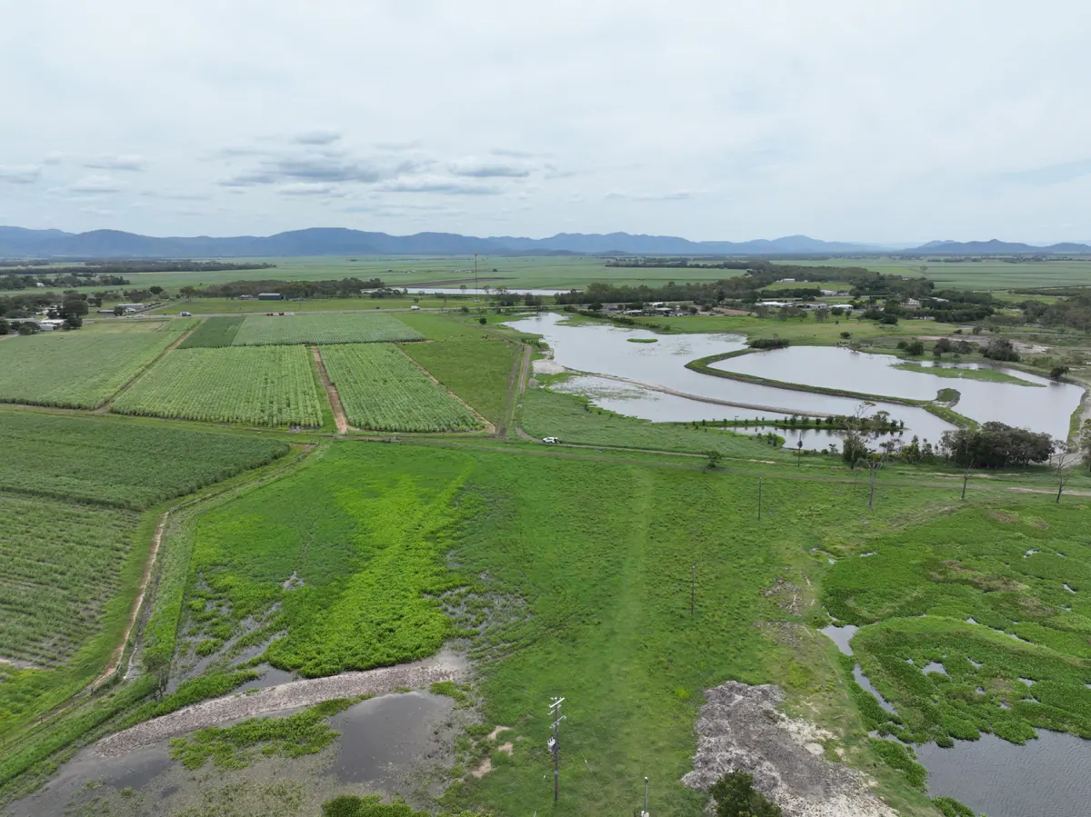 Aerial view of a river winding through the floodplain