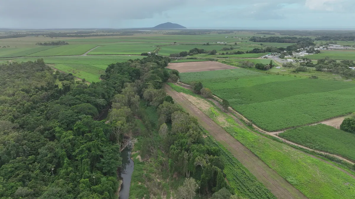 A river corridor running through cane land towards the coast