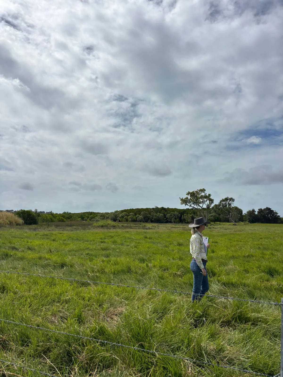 Coastal pasture on the Pownalls' Habana block